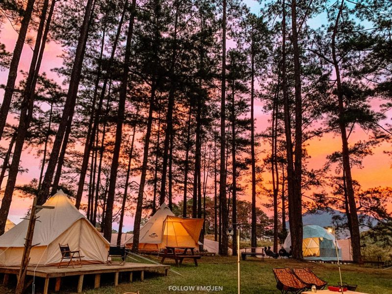Glamping4_CampArt by MoJen2_vietcetera.jpg Glamping4_CampArt by MoJen2_vietcetera.jpg